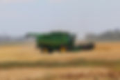 Farm