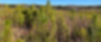 IMG_7450.jpeg