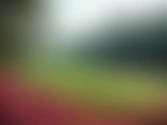 Top 10 Must-Play Golf Courses and Why They Stand Out