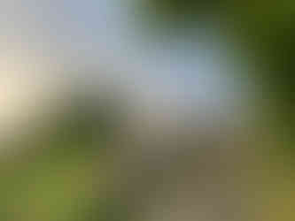 Girl sitting at the top of stone steps. Greenery visible, dusk.
