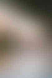 Boat on a river at dusk - greenery in the foreground.