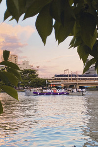 Boat on a river at dusk - greenery in the foreground.