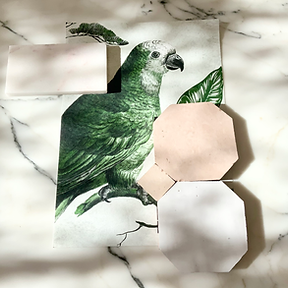 Maaike Almeida Interior design details
