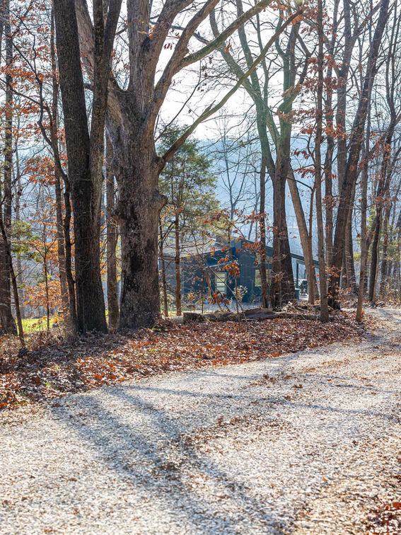 Winding gravel path in autumn woods toward a secluded house.