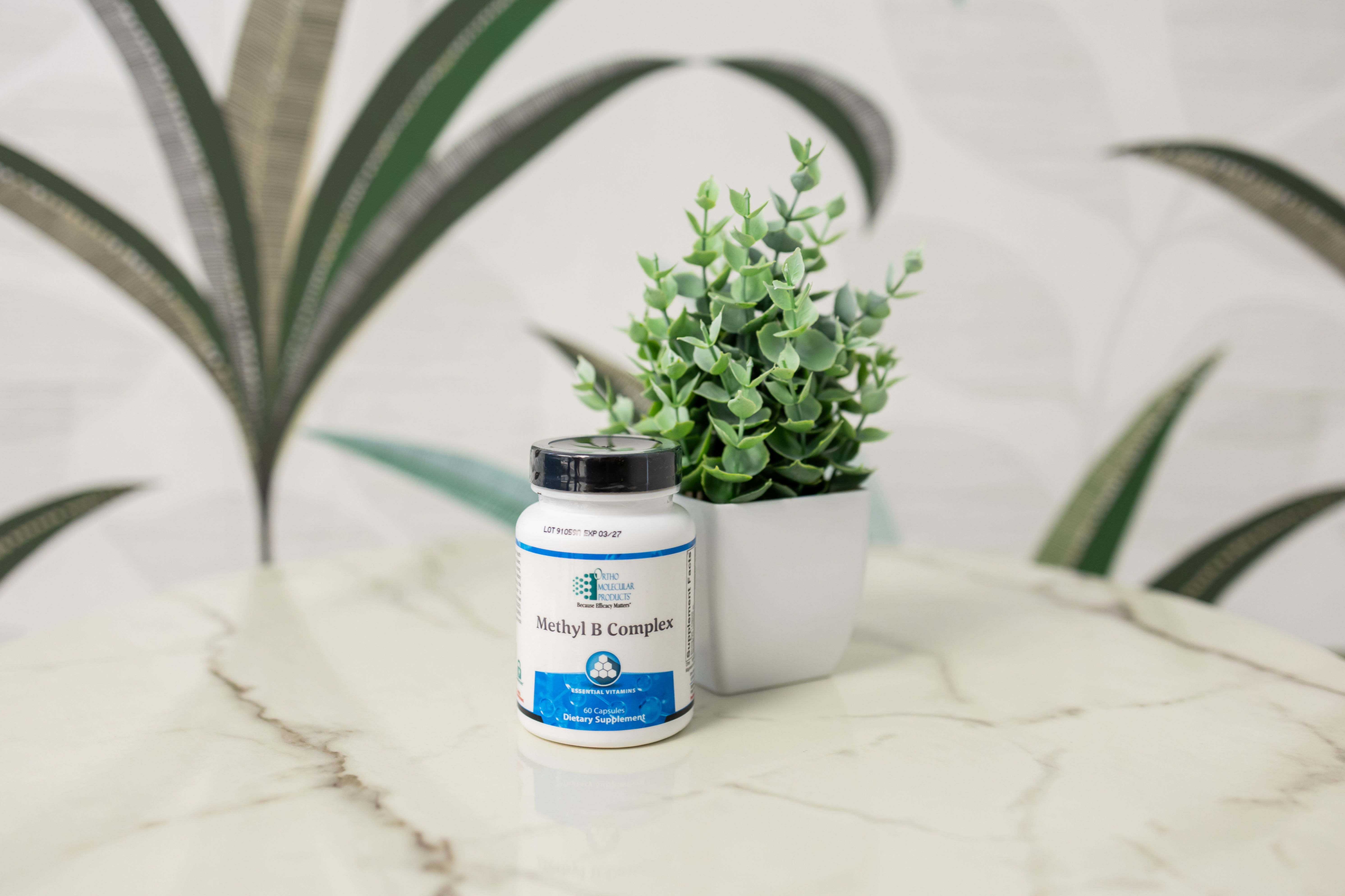 White bottle of Methyl B Complex dietary supplement next to a small plant.