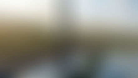 Tudo o que você precisa saber sobre a MIP; corrida terá mais de 20 mil participantes, recorde de inscritos no Paraná