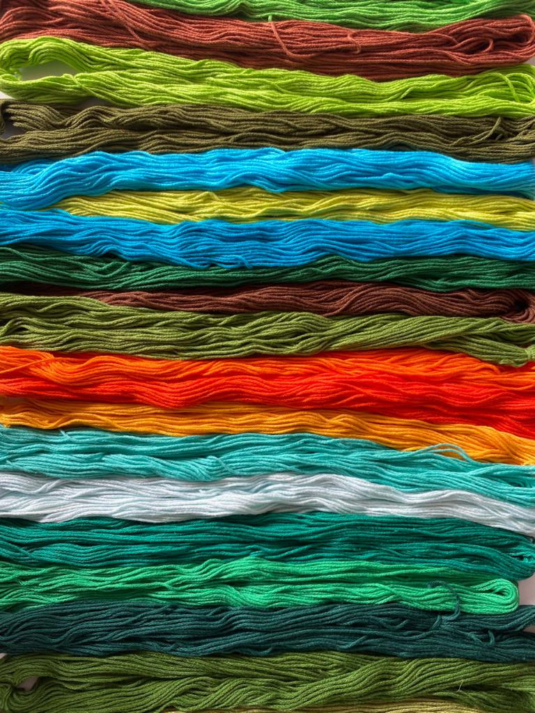 Miniatura: Hilos Mouliné Mexicanos