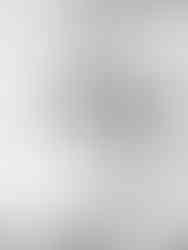 Pulgas Water Temple Engagement Session