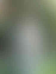 Atherton wedding photographer private estate