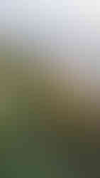 Fort Funston Engagement photographer