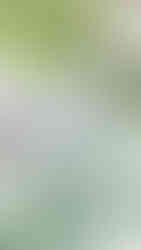 Cline cellars sonoma winery wedding photographer