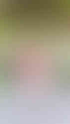 Santa Clara University Grad Photographer SCU