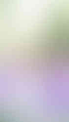 Cline cellars sonoma winery wedding photographer