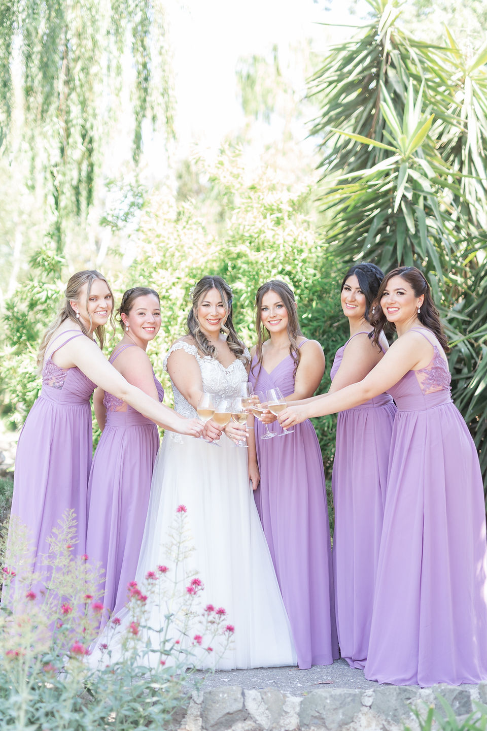 Cline cellars sonoma winery wedding photographer