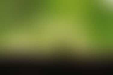 Shooting Details Without a Macro Lens