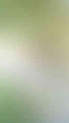 Pulgas Water Temple Engagement Session