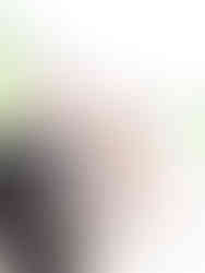 Cline cellars sonoma winery wedding photographer