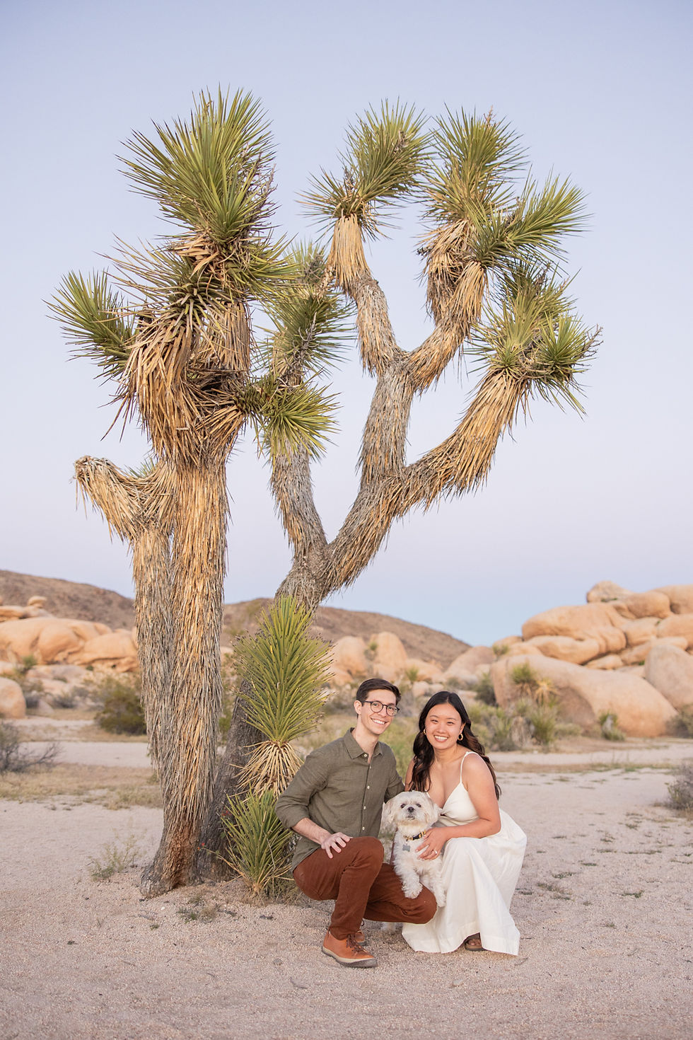 Joshua Tree Engagement Photos