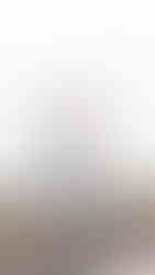 Sausalito Surprise Proposal