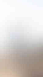 Sausalito Surprise Proposal