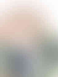 Palace of Fine Arts San Francisco Wedding Photographer