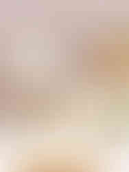 doljanchi korean first birthday photographer dol birthday Cordevalle