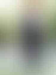 Cline cellars sonoma winery wedding photographer