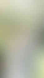 Atherton wedding photographer private estate