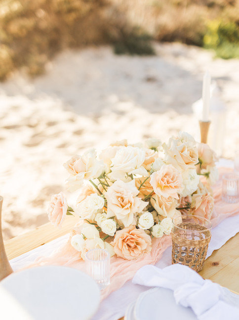 Carmel By The Sea Surprise Proposal