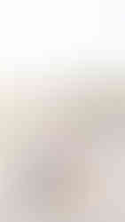 norcal wedding photographer norcal engagement photographer 5 reasons to do an engagement session