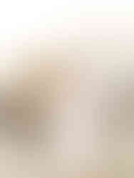 Muir beach engagement photographer