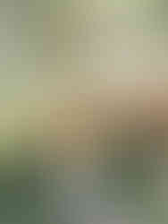 Filoli Engagement Session