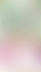 Cline cellars sonoma winery wedding photographer