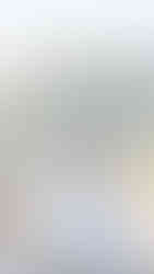 Sausalito Surprise Proposal