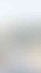 Sausalito Surprise Proposal