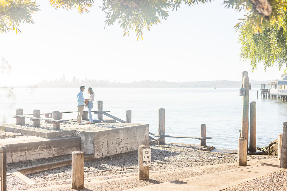 Sausalito Surprise Proposal