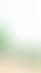 Cline cellars sonoma winery wedding photographer