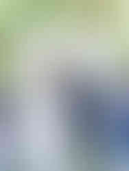 Cline cellars sonoma winery wedding photographer