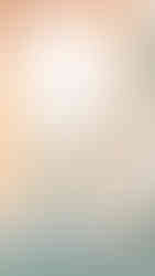 Palace of Fine Arts San Francisco Wedding Photographer