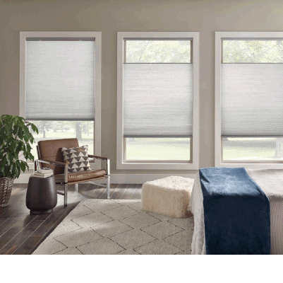 French Fog - GIF.gif