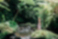 Human Design Studio tutvustus_edited.jpg