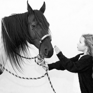 DSC_7290BWsm.jpg