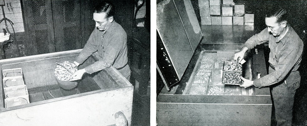 Left: Aluminum rivets are being placed in the alcohol bath in the Heat Treating Plant. Right: Aluminum rivets are shown being placed in the deep freeze in the Heat Treating Plant.