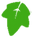 green ivy leaf graphic