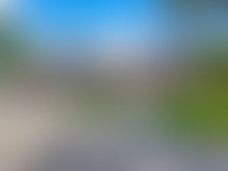 Spacious single-story home on large lot with mature trees in Old Katy Texas, no HOA property