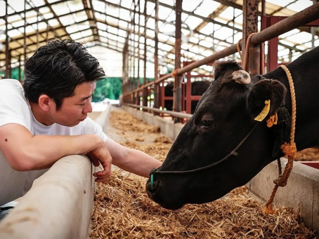 離職率が高い飲食業界で「退職者ゼロ」の奇跡。牛の飼育から世界へ挑む、2代目社長の覚悟とは