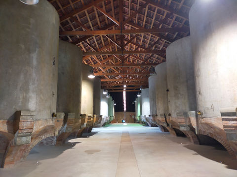 Tines Celler Rubí RUBIGUIEM.jpg