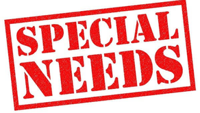 (UK) Brighton/Hove: 26.1% of students have special needs
