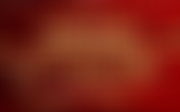 Belmont, NC: ABA center has grand opening