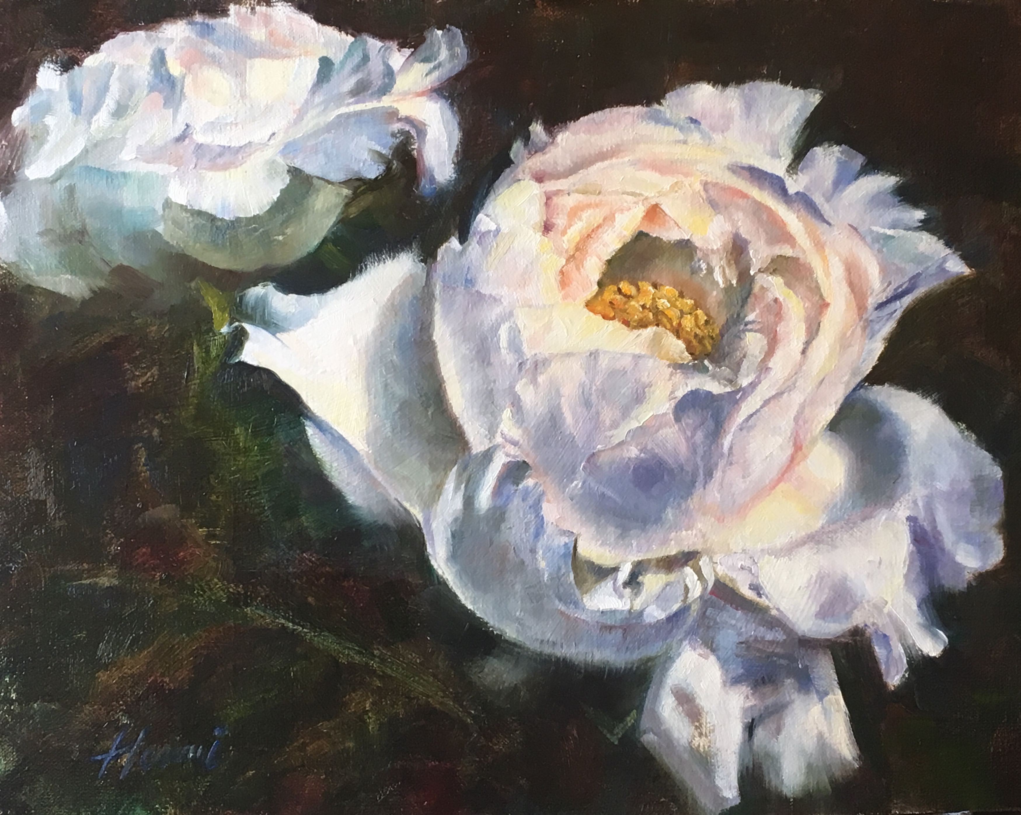 Japanese Peony